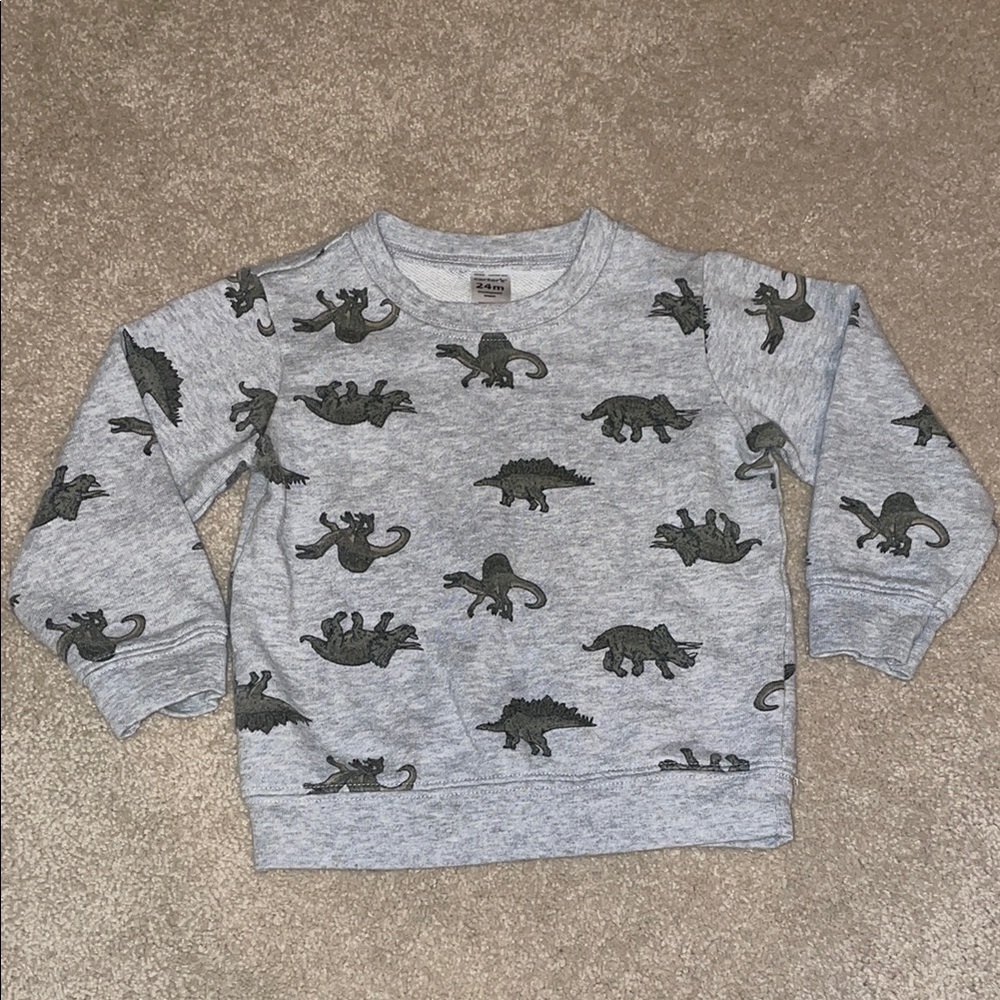 Dinosaur Print Gray Sweatshirt